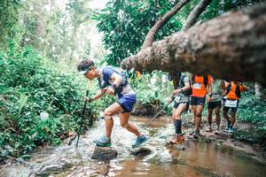 BIB: 
                            <button type="button" onclick="openModal(25372094)" class="btn btn-primary btn-sm float-right btn-popup" data-toggle="modal" data-target=".modal-high-quality">
                        <i class="fas fa-shopping-cart"></i> Add to Cart
                    </button>
                                            <button type="button" onclick="isThisMe(25372094, true)" class="btn btn-success btn-sm float-right btn-popup btn-isme hidden" data-toggle="tooltip" data-placement="bottom" title="นี่คือรูปของคุณใช่ไหม คลิกที่นี่เพื่อเอาเข้าอัลบั้ม">
                        <i class="fas fa-plus"></i> Add to album
                    </button>
                    <button type="button" onclick="isThisMe(25372094, false)" class="btn btn-warning btn-sm float-right btn-popup btn-isnotme hidden">
                        <i class="fas fa-ban"></i> Remove from album
                    </button>